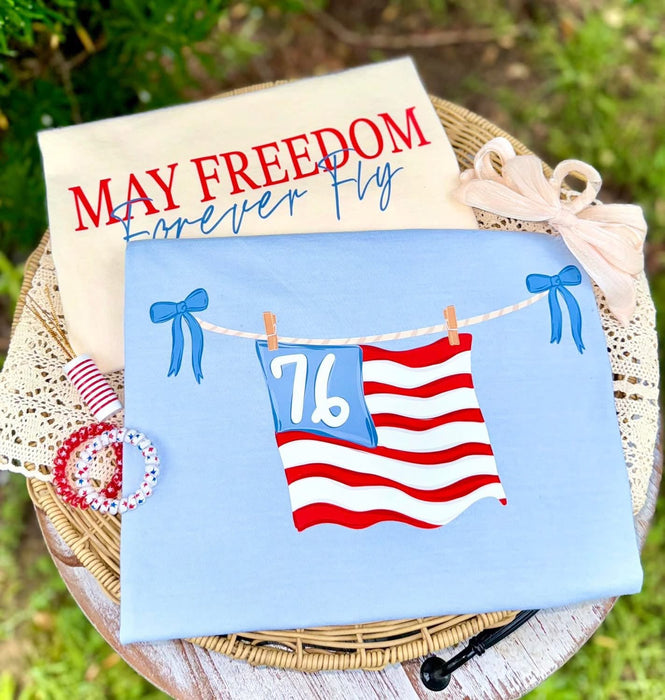 🇺🇸 Patriotic Wash Day DTF Transfer