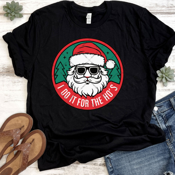 I Do It For The Ho's DTF Transfer