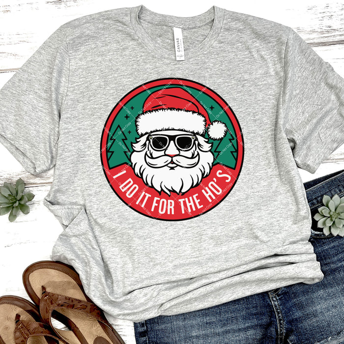 I Do It For The Ho's DTF Transfer